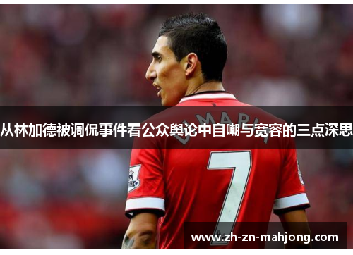 从林加德被调侃事件看公众舆论中自嘲与宽容的三点深思