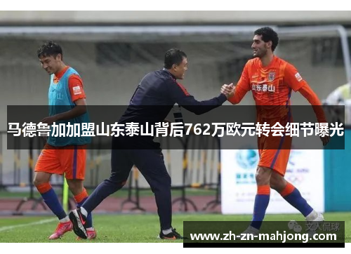 马德鲁加加盟山东泰山背后762万欧元转会细节曝光