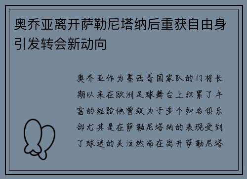 奥乔亚离开萨勒尼塔纳后重获自由身引发转会新动向